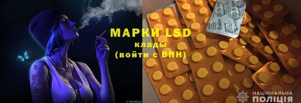 индика Сосновоборск